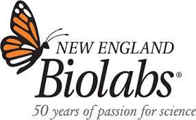 New England Biolabs